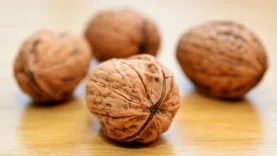 alimentos-combatir-anemia-wide_webp