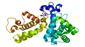 proteinas-tipos-wide_webp